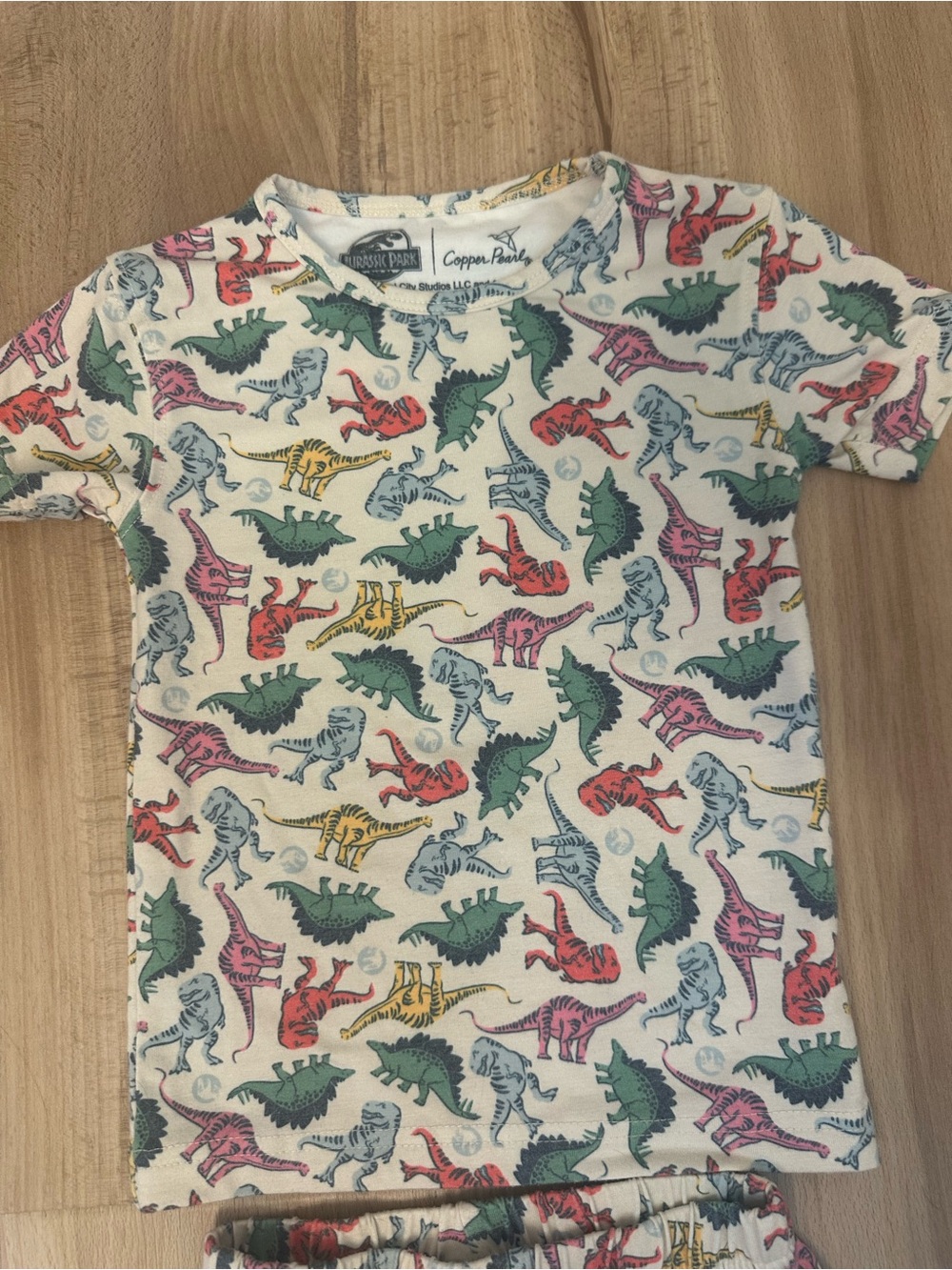 Copper Pearl Jurassic Park Kids Dinosaur Pajama Set - Multicolor Dino Print - Picture 2 of 6